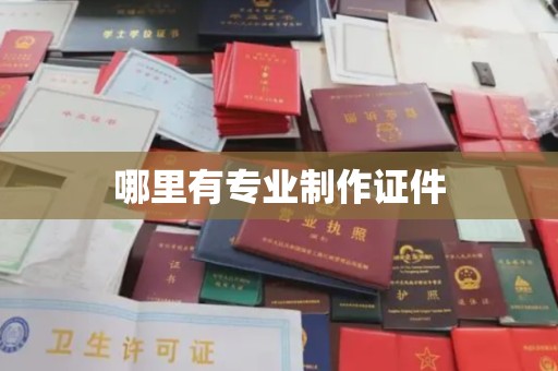 瓦房店哪里有专业制作证件